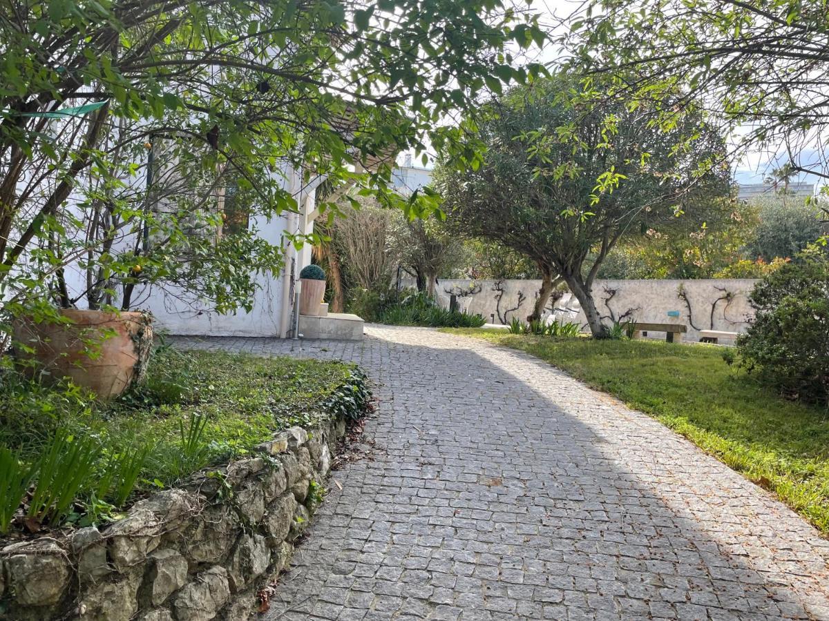 Sublime Haut De Villa Apercu Mer /Hippodrome / Кань-сюр-Мер Экстерьер фото